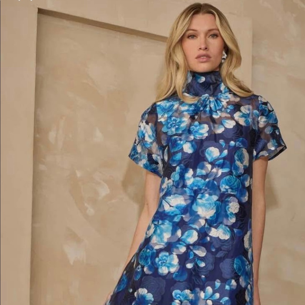 Abay Floral Dime Organza Dress